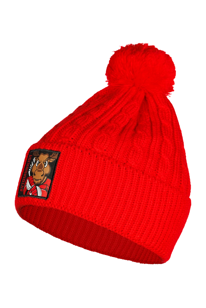 Шапка ХК Автомобилист 30